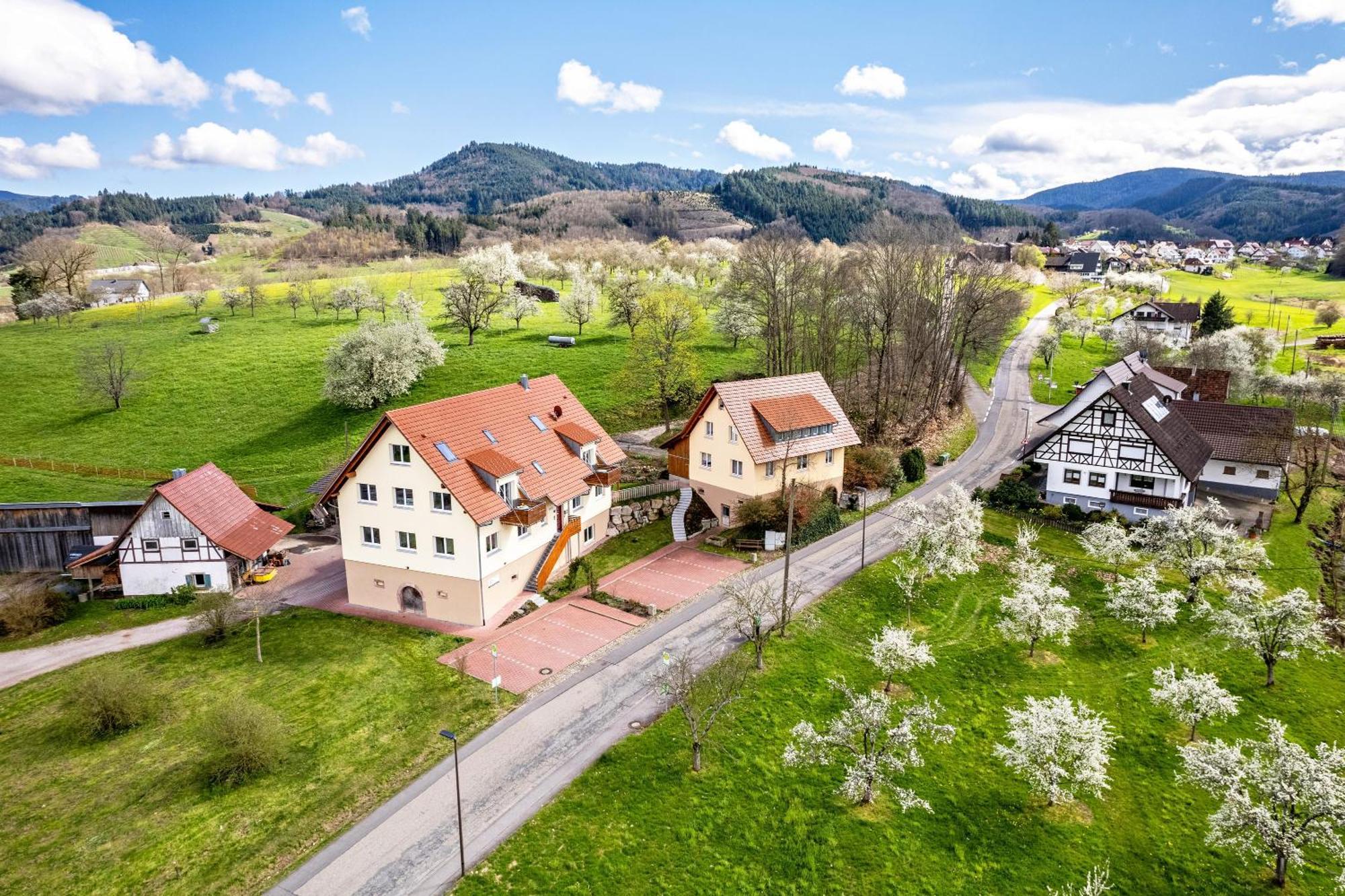 Ferienhof Vordere Alm Oberkirch  Exteriér fotografie