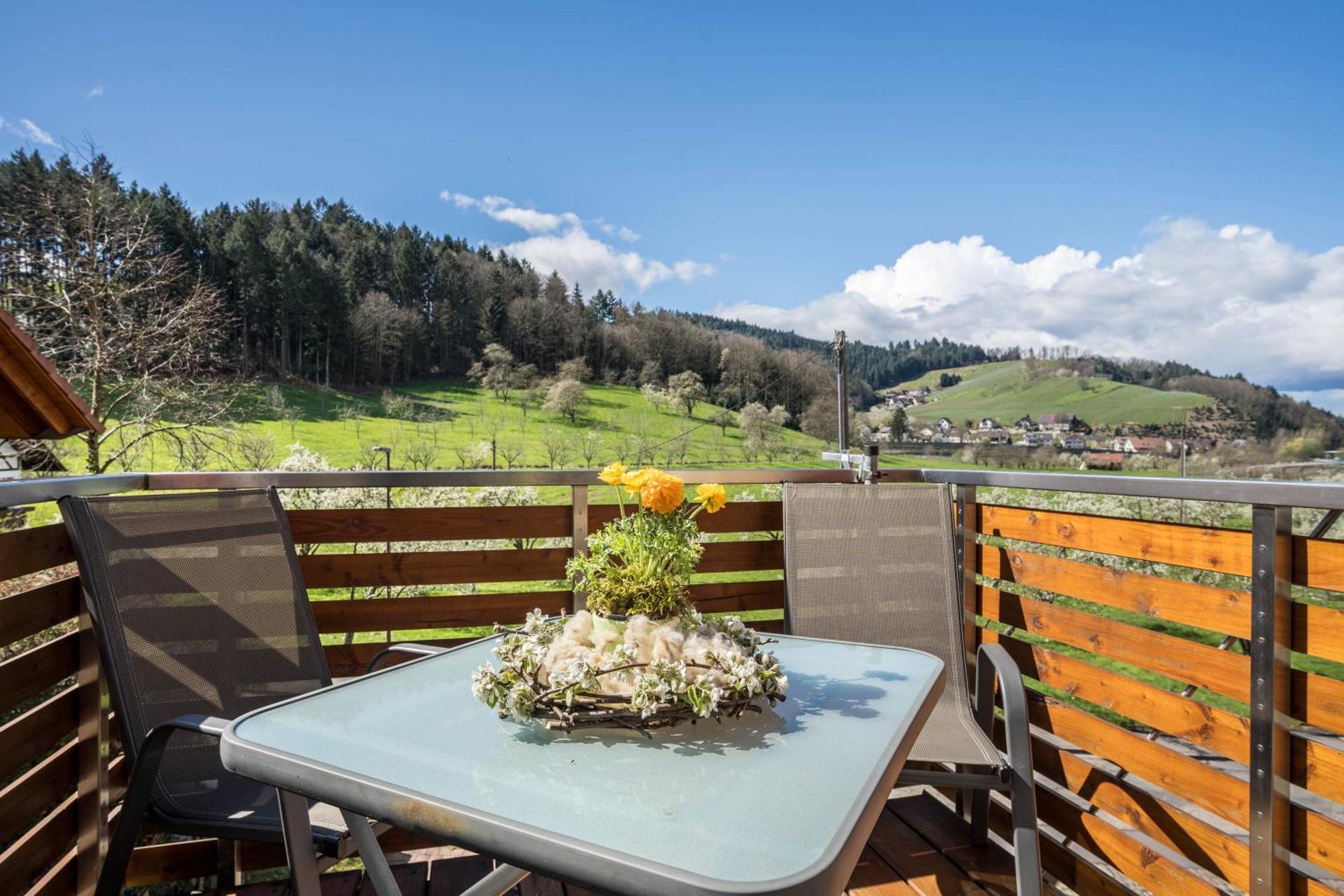Ferienhof Vordere Alm Oberkirch  Exteriér fotografie